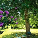 Bed & Breakfast D'hotes Lortin 3*