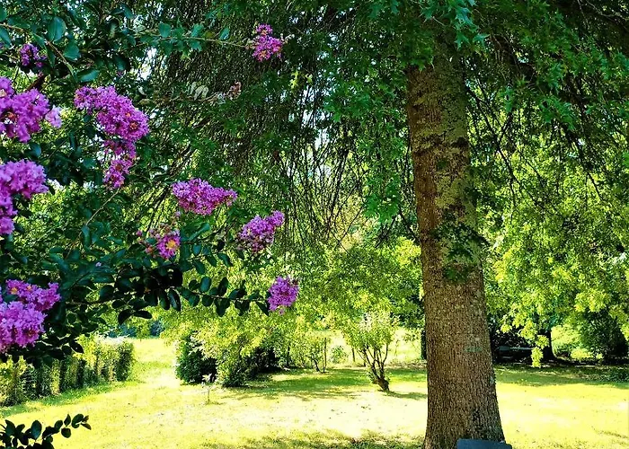 住宿加早餐酒店 D'hotes Lortin 3*